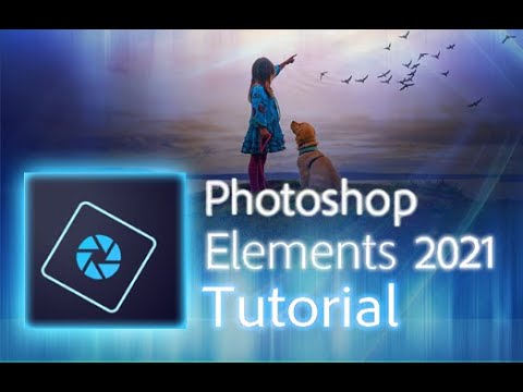 Tải Photoshop Elements 2021 dùng vĩnh viễn | Hướng dẫn cài đặt