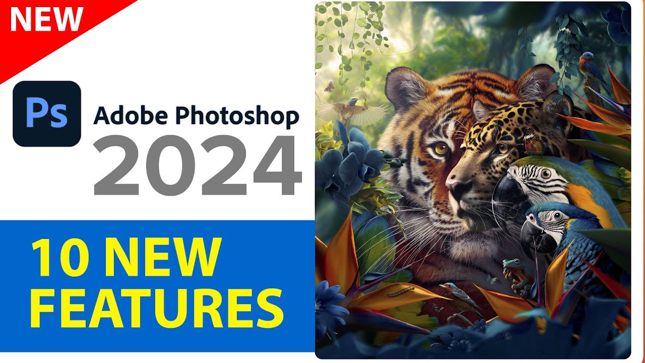 Tải Photoshop 2024 dùng vĩnh viễn | Hướng dẫn cài đặt