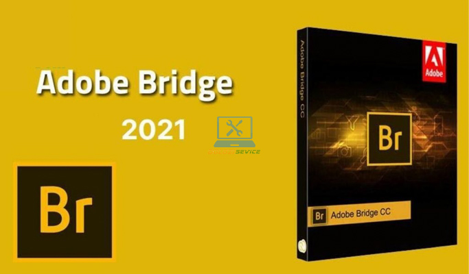 Tải Bridge 2021 dùng vĩnh viễn | Hướng dẫn cài đặt